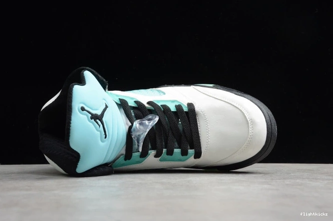 CN2932-100 5 Air Island Jordan Green 1007